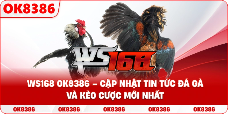 WS168 OK8386 – Cập nhật tin tức đá gà và kèo cược mới nhất